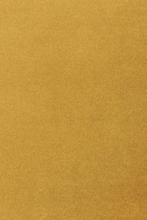 Ковровое покрытие AW Oinone 54 - (5м) в Магнитогорске