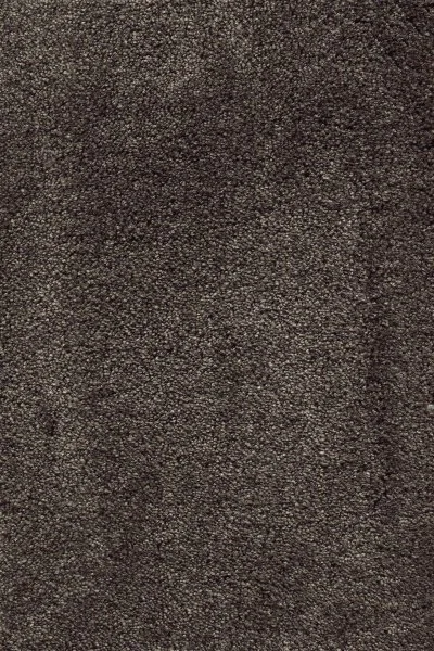 Ковровое покрытие AW Fedone 44 - (5м) в Магнитогорске