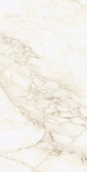 Керамогранит Coliseum Микеланджело Ворм 60х120 (Натуральный и Реттифицированный) в Магнитогорске