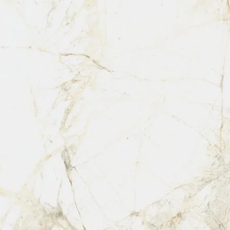 Керамогранит Coliseum Канова Уайт 60х60 (Натуральный и Реттифицированный) в Магнитогорске