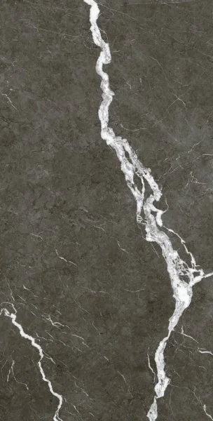 Керамогранит Coliseum Микеланджело Дарк 60х120 (Натуральный и Реттифицированный) в Магнитогорске