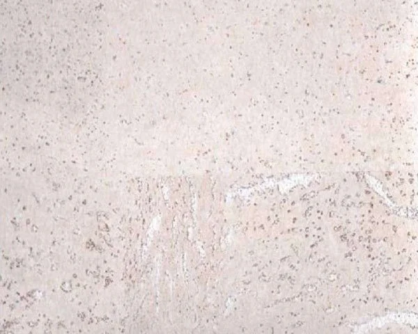 Настенное пробковое покрытие CorkArt PW 386 WS в Магнитогорске