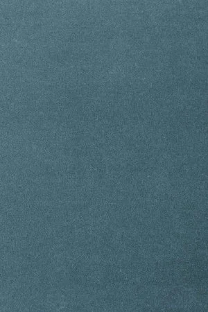 Ковровое покрытие AW Oinone 74 - (4м) в Магнитогорске