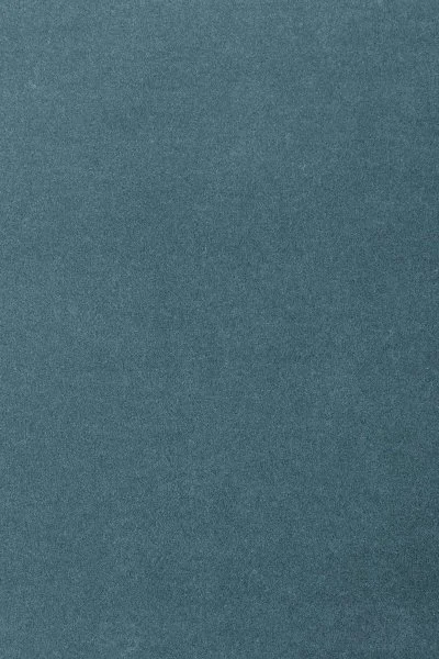 Ковровое покрытие AW Oinone 74 - (5м) в Магнитогорске