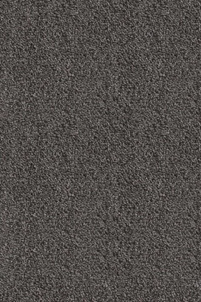 Ковровое покрытие AW Messalina 99 - (5м) в Магнитогорске