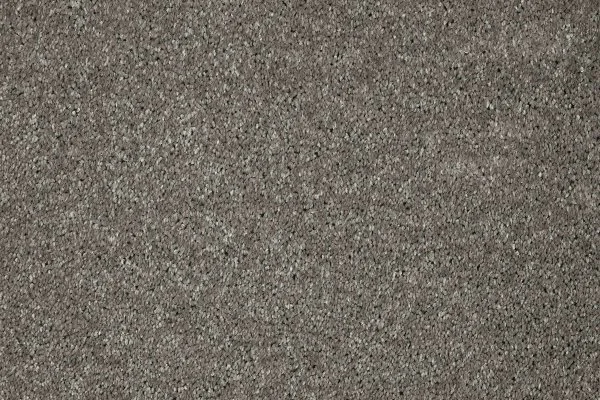 Ковровое покрытие AW Gala 94 - (5м) в Магнитогорске