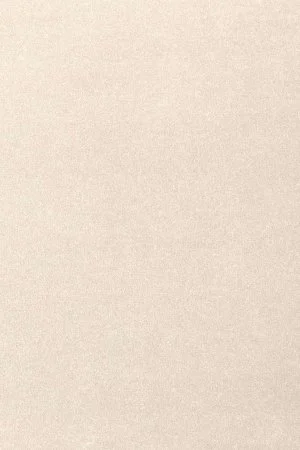 Ковровое покрытие AW Oinone 03 - (5м) в Магнитогорске