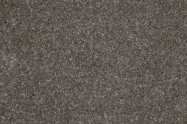 Ковровое покрытие AW Gala 49 - (4м) в Магнитогорске