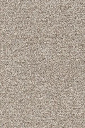 Ковровое покрытие AW Stainguard Harvest 04 - (4м) в Магнитогорске