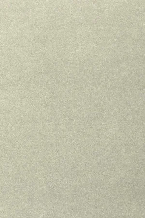 Ковровое покрытие AW Oinone 02 - (5м) в Магнитогорске