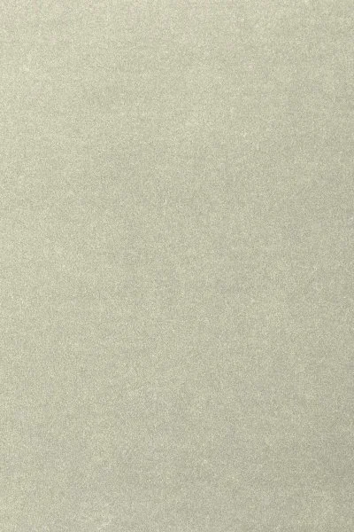 Ковровое покрытие AW Oinone 02 - (4м) в Магнитогорске