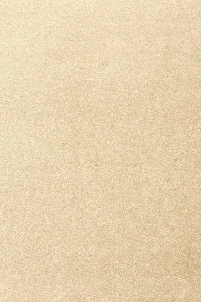 Ковровое покрытие AW Oinone 33 - (4м) в Магнитогорске