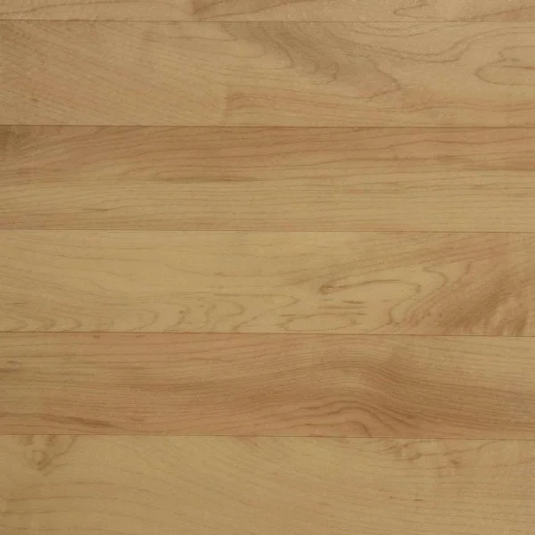 Спортивный линолеум Tarkett Omnisports Action 65 Cold Beech в Магнитогорске