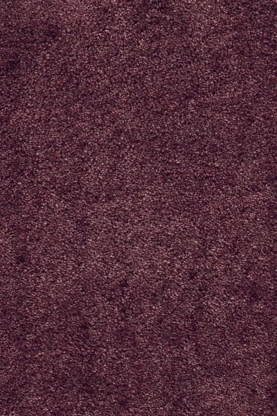 Ковровое покрытие AW Fedone 19 - (5м) в Магнитогорске