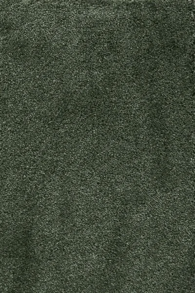 Ковровое покрытие AW Fedone 24 - (5м) в Магнитогорске