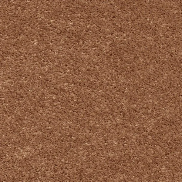 Ковровое покрытие AW Euphoria 84 - (5м) в Магнитогорске