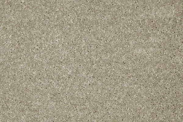 Ковровое покрытие AW Gala 03 - (4м) в Магнитогорске