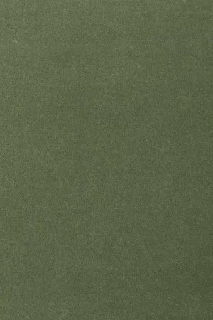 Ковровое покрытие AW Oinone 24 - (5м) в Магнитогорске