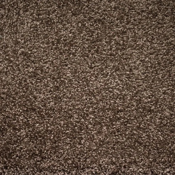 Ковровое покрытие Zartex Tesoro 156 Коричневый - 4 м в Магнитогорске