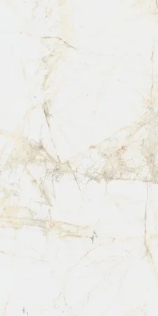 Керамогранит Coliseum Канова Уайт 60х120 (Натуральный и Реттифицированный) в Магнитогорске