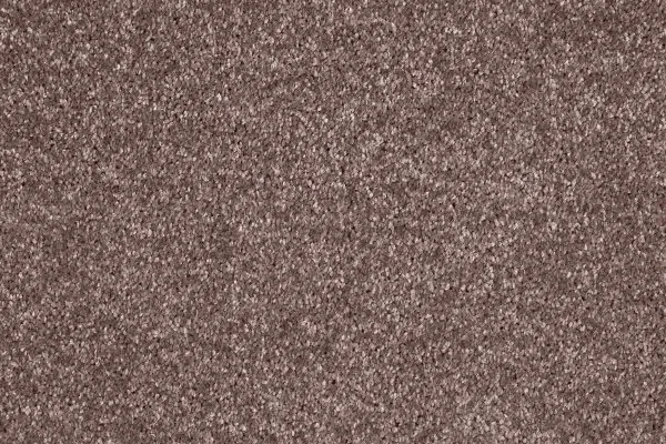 Ковровое покрытие AW Gala 60 - (5м) в Магнитогорске