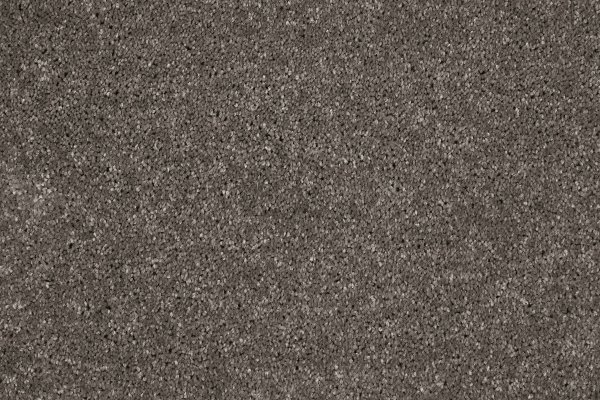 Ковровое покрытие AW Gala 49 - (4м) в #REGION_NAME_DECLINE_PP#