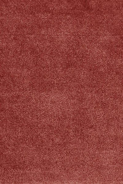 Ковровое покрытие AW Omphale 10 - (5м) в #REGION_NAME_DECLINE_PP#